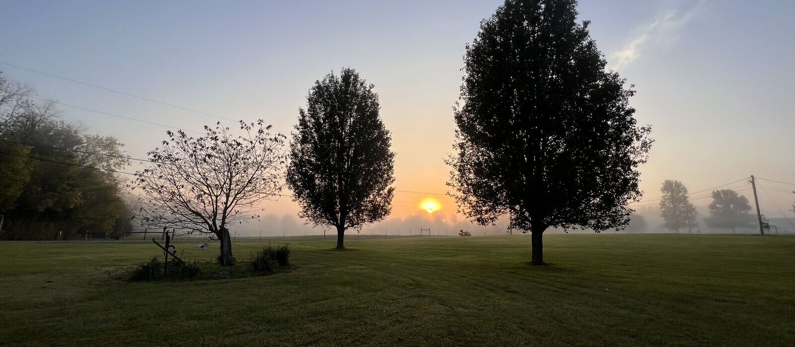 Foggy sunrise through two silhouetted trees