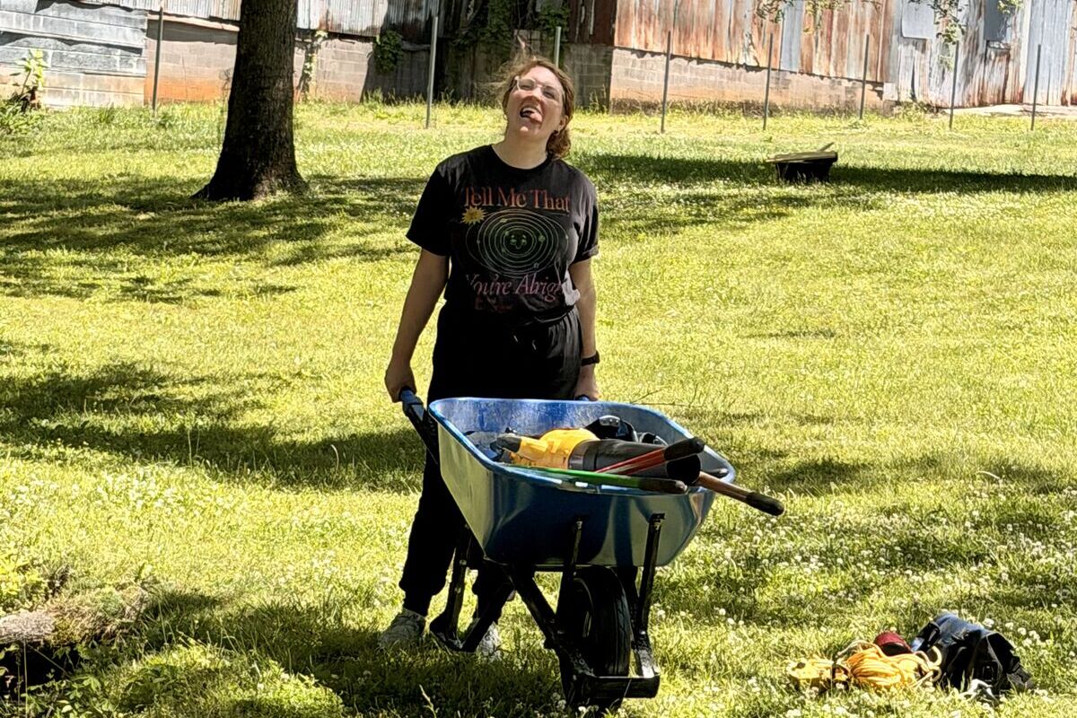 Gardening, poorly and enthusiastically
